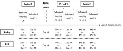 Foraging Behavior Shows Individual-Consistency Over Time, and Predicts Range Use in Slow-Growing Free-Range Male Broiler Chickens